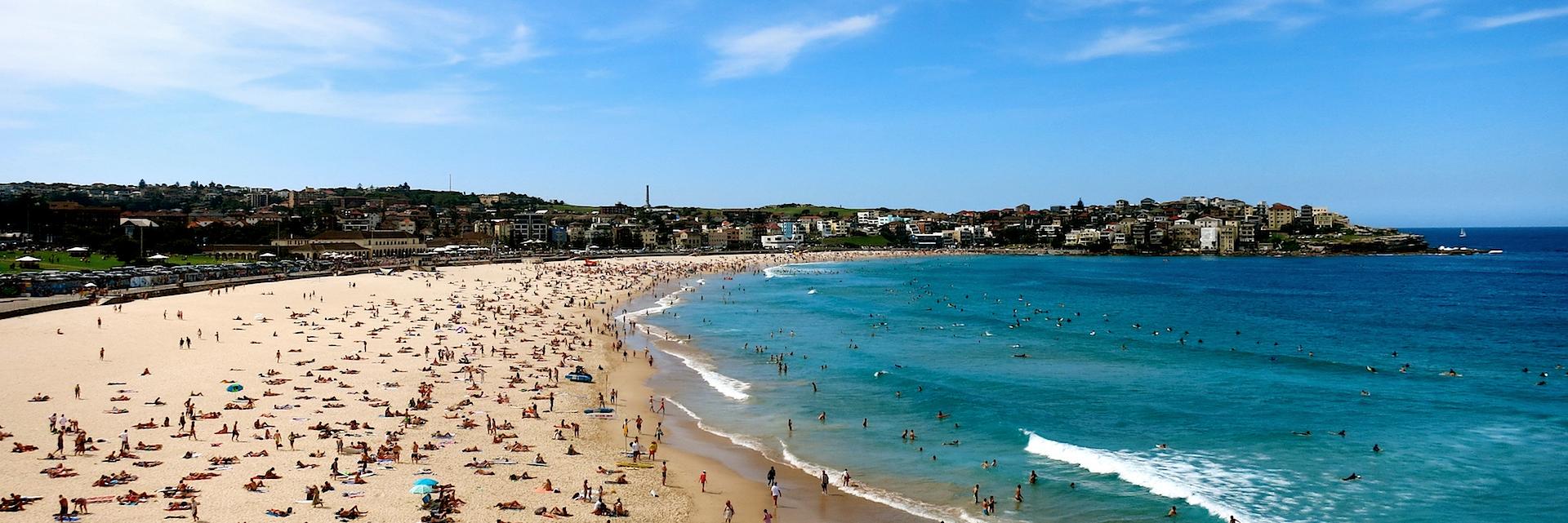 Philip Mackertich banner