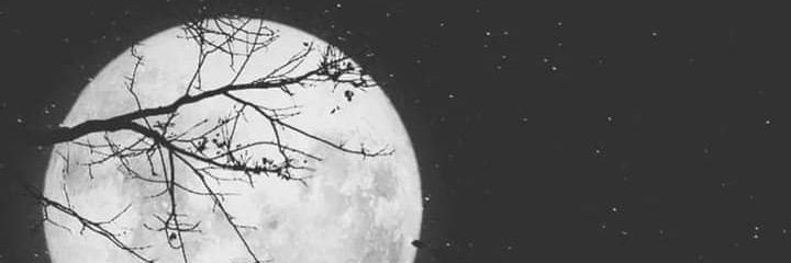 Sinestria's profile banner image