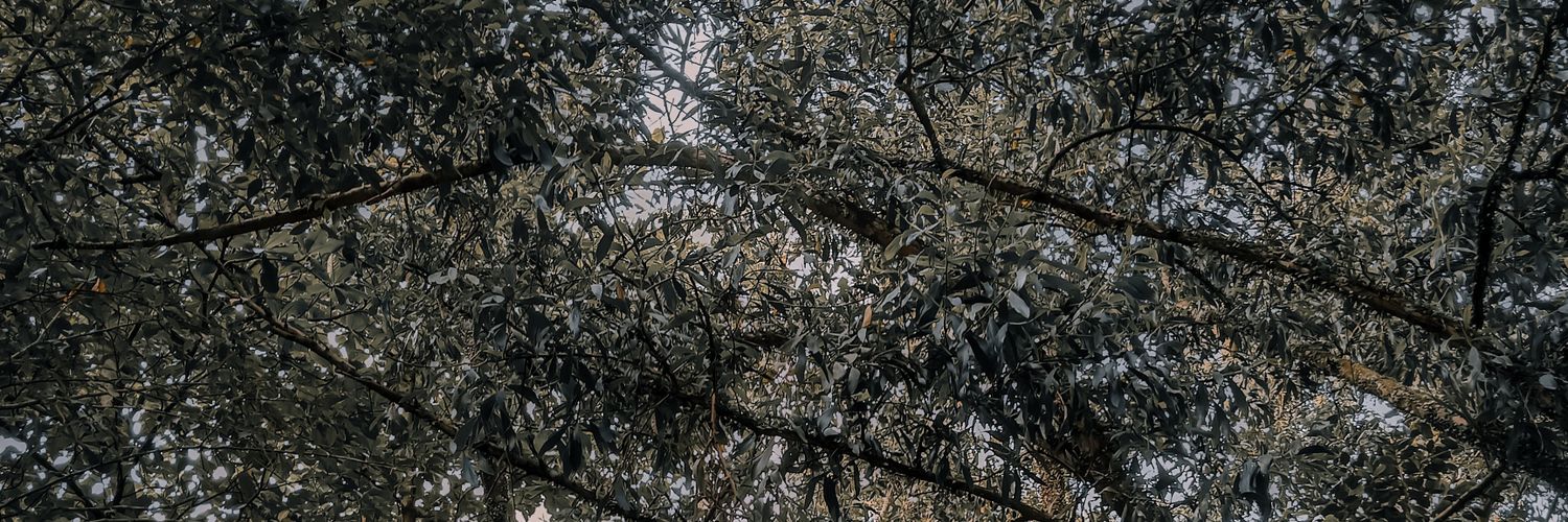 gungbleh's profile banner image