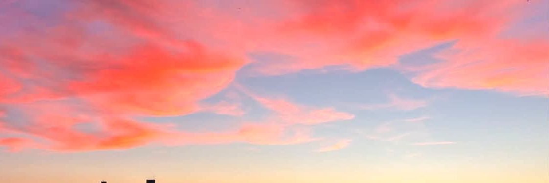 MissPetiteD's profile banner image