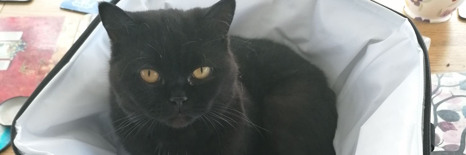 poliakin's profile banner image