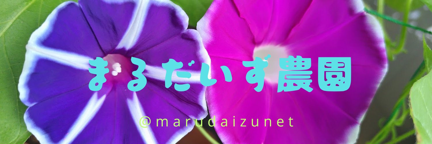 marudaizunet's profile banner image
