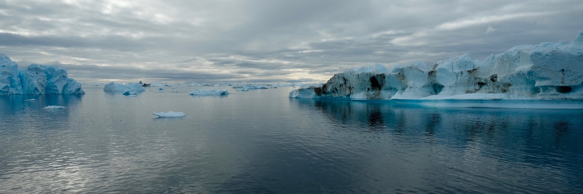Twila Moon, PhD banner