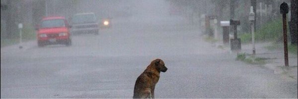 beenhimmons Profile Banner