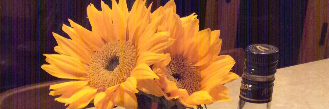 Melody Buckner banner