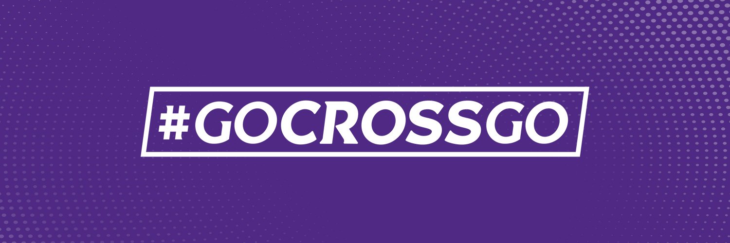 Holy Cross Athletics's banner