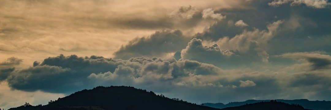 piperon's profile banner image