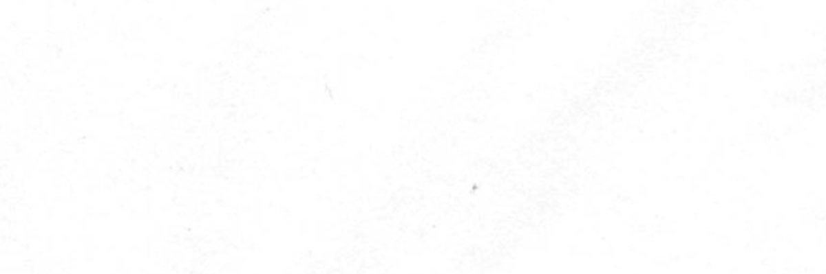 Koisy banner