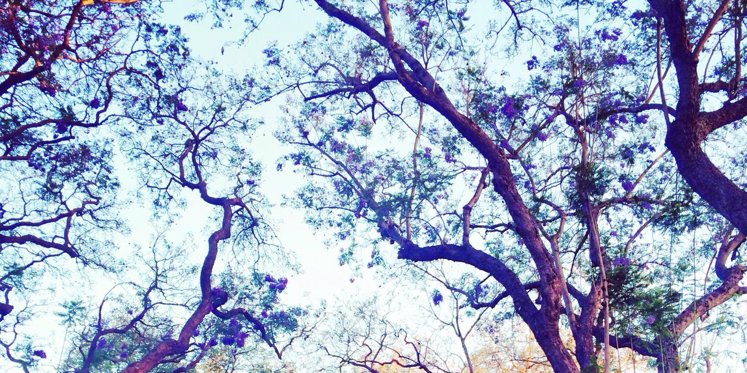 prettypili's profile banner image