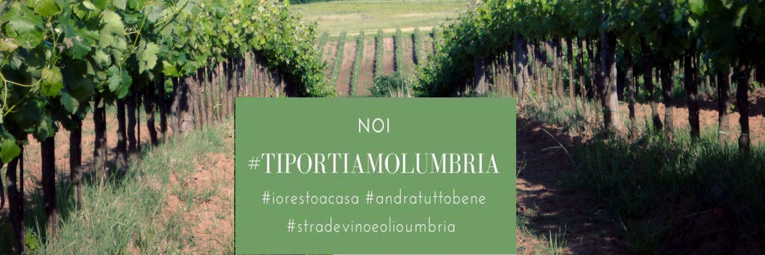 stradadeivini's profile banner image