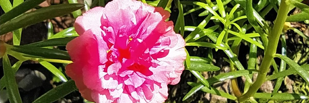 axsel_46's profile banner image