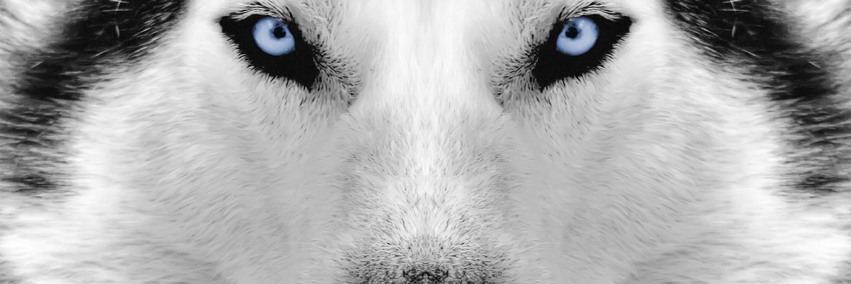 devbjerome's profile banner image