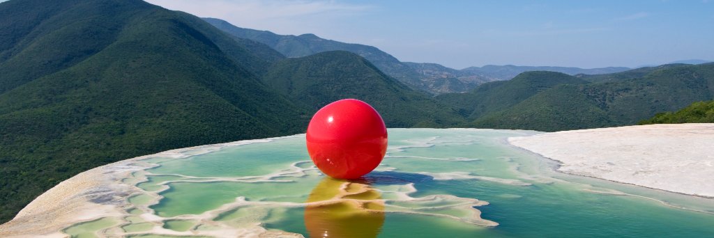 Frank Coronado banner