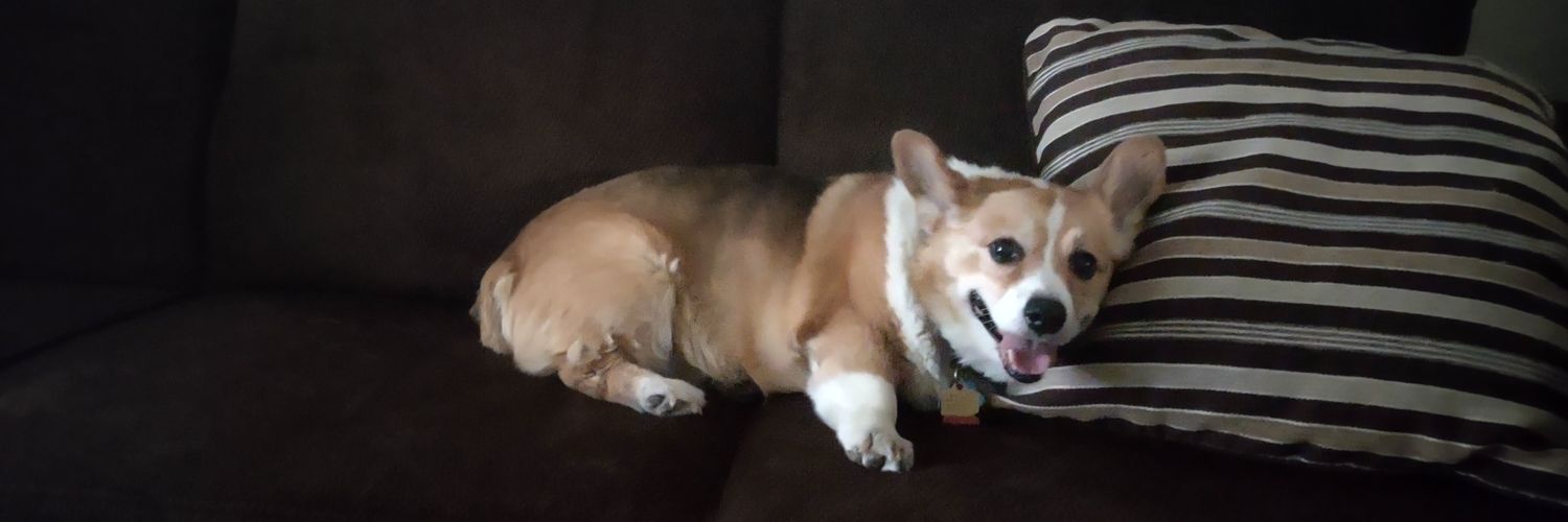 oneillrbt's profile banner image