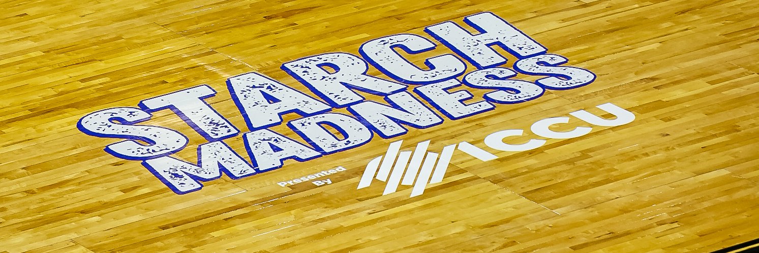 Big Sky Conference's banner