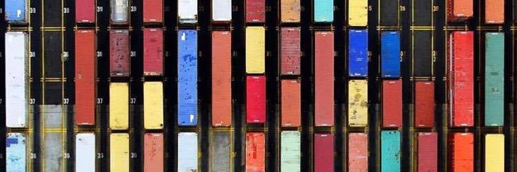 Shweta Kaushik banner