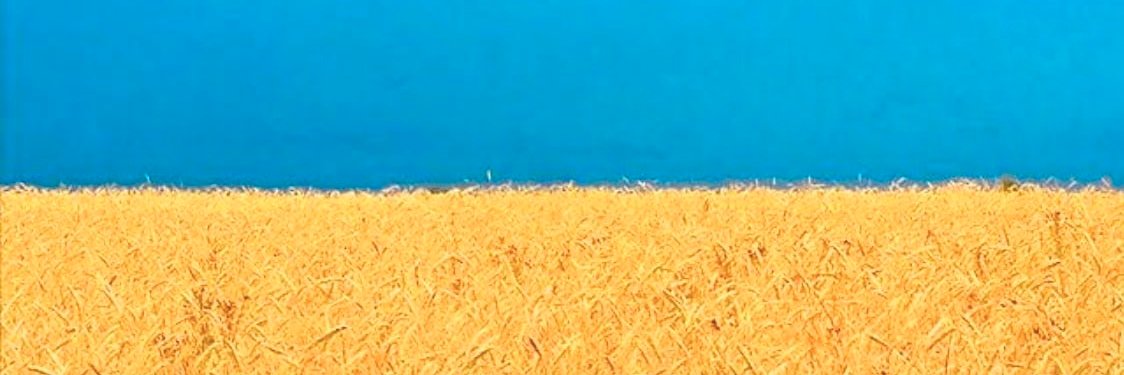Book_Book_Book_'s profile banner image