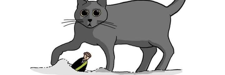 lucasmorais's profile banner image