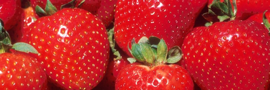 りりれれ🍓1️⃣ banner