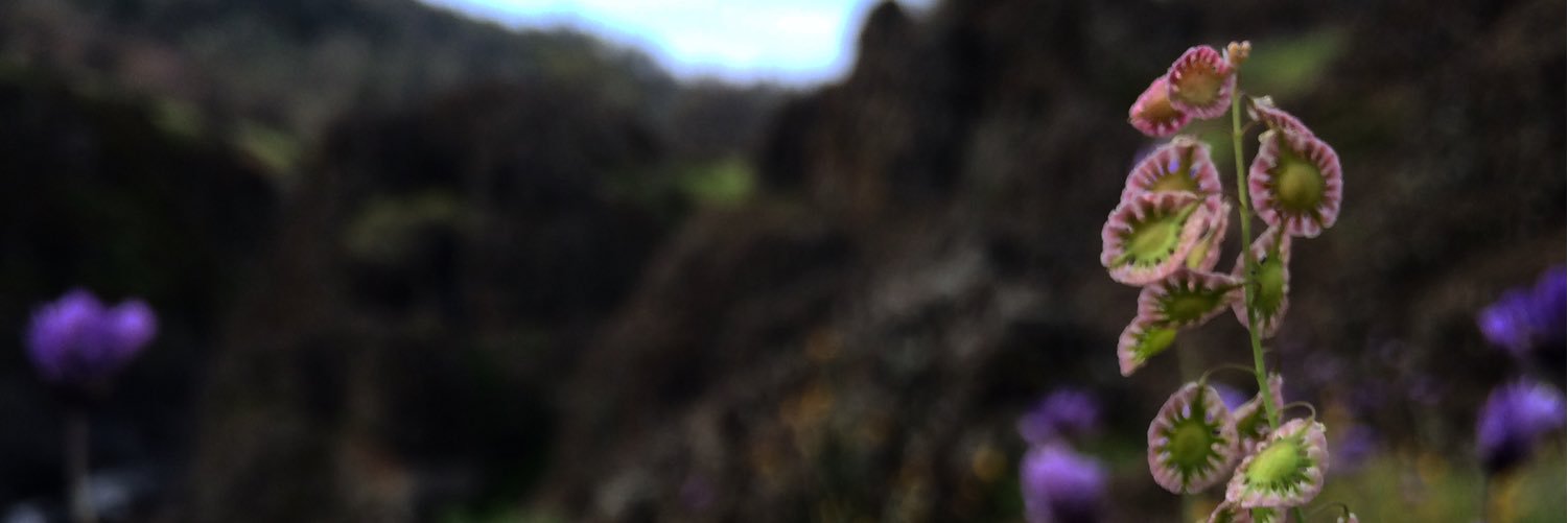idiy247's profile banner image