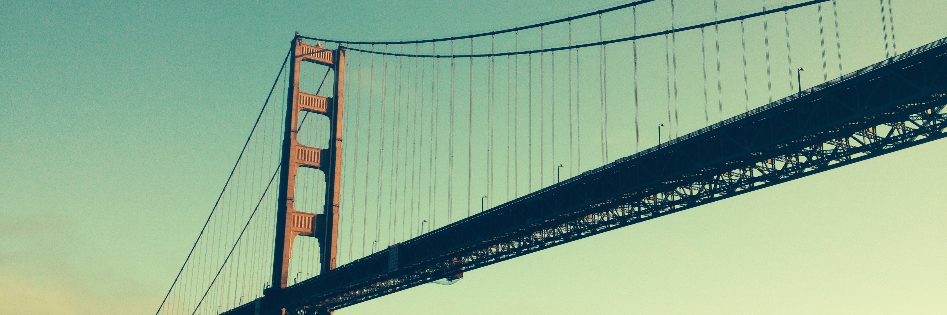 Rachel Norman banner