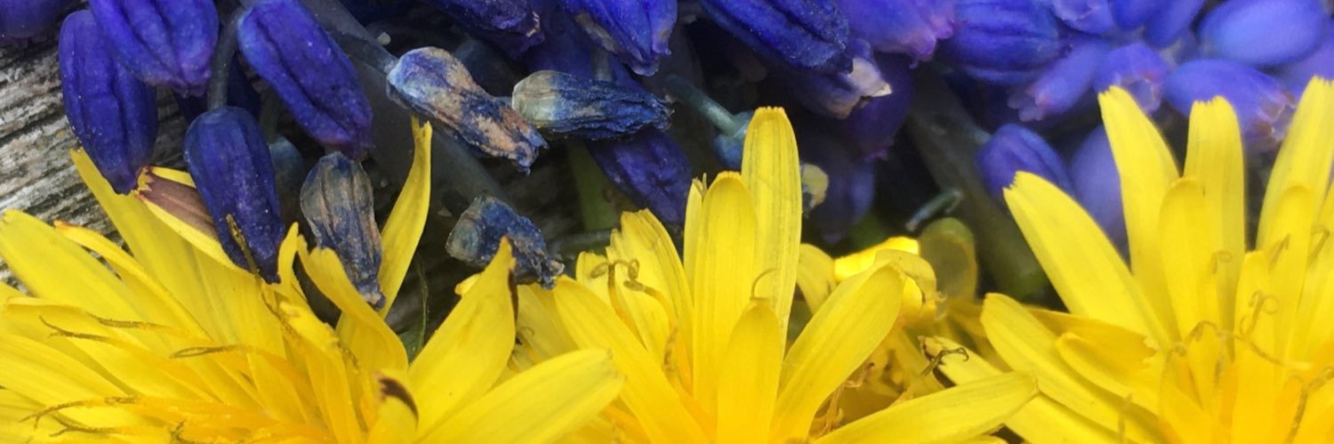 artistsdirdevon banner