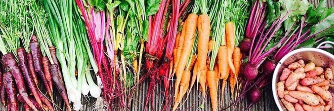 allotmentlady19's profile banner image
