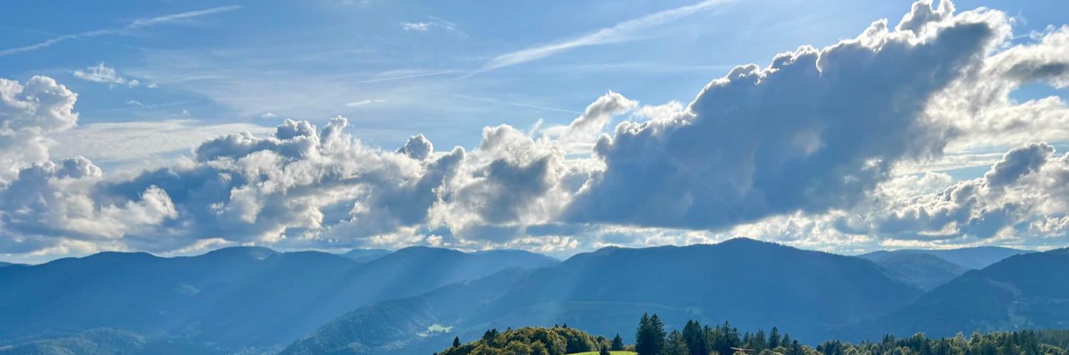 leonwubbe's profile banner image