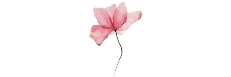 AnnaMustafa's profile banner image