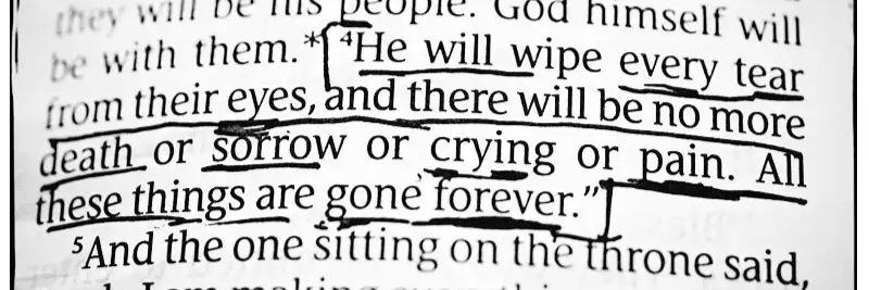 Cyndereller☦️🇺🇸 banner