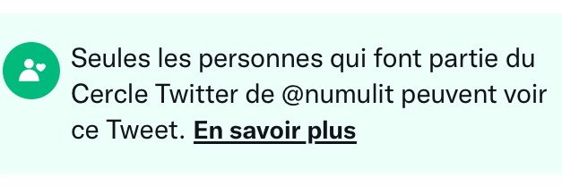 шаломея banner