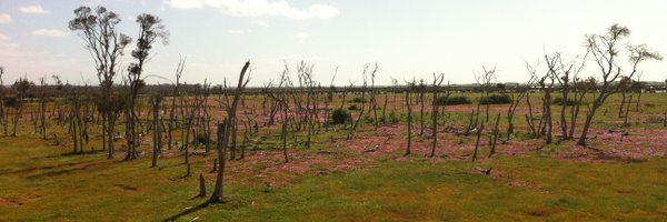 jonnokendall Profile Banner