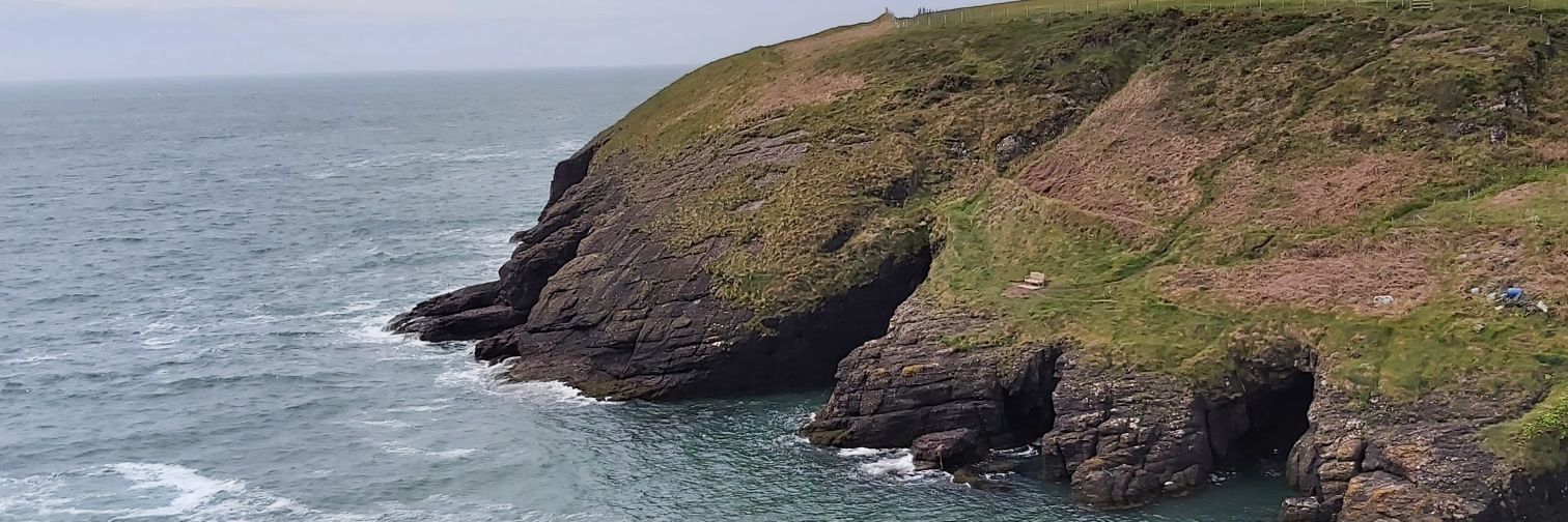 Roisin McQuillan banner