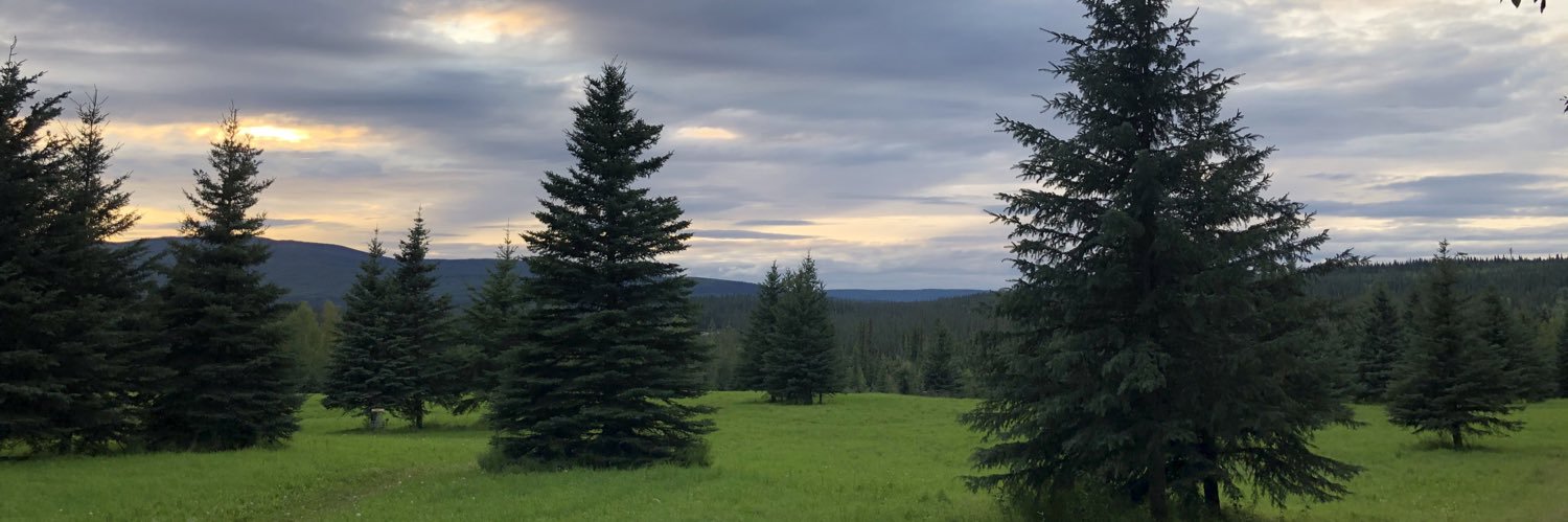 Kakkabub's profile banner image