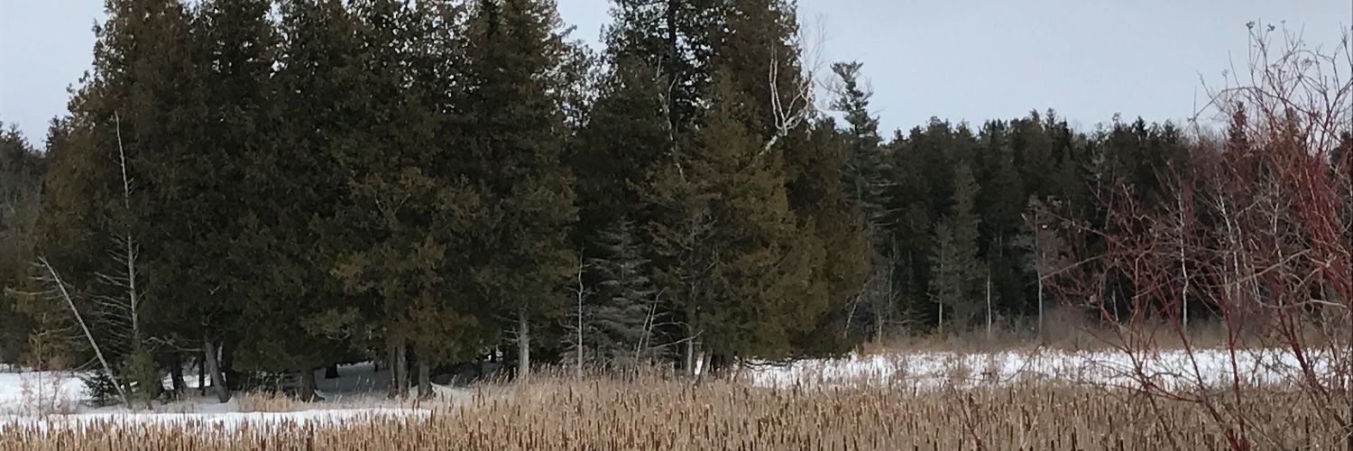 WisReader's profile banner image
