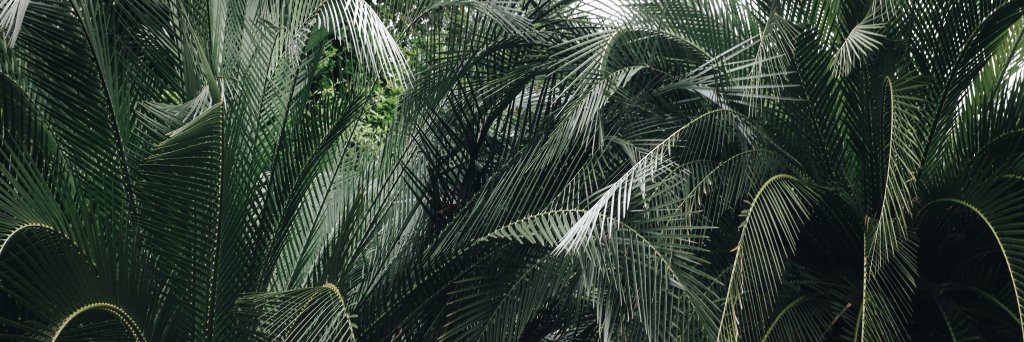 mariesleaf's profile banner image