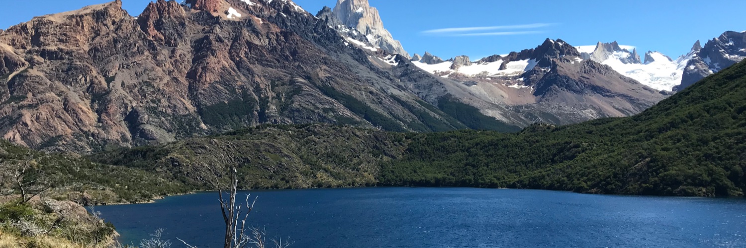 Didier Barbé banner