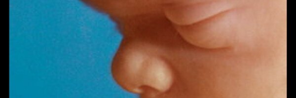 sigr Profile Banner