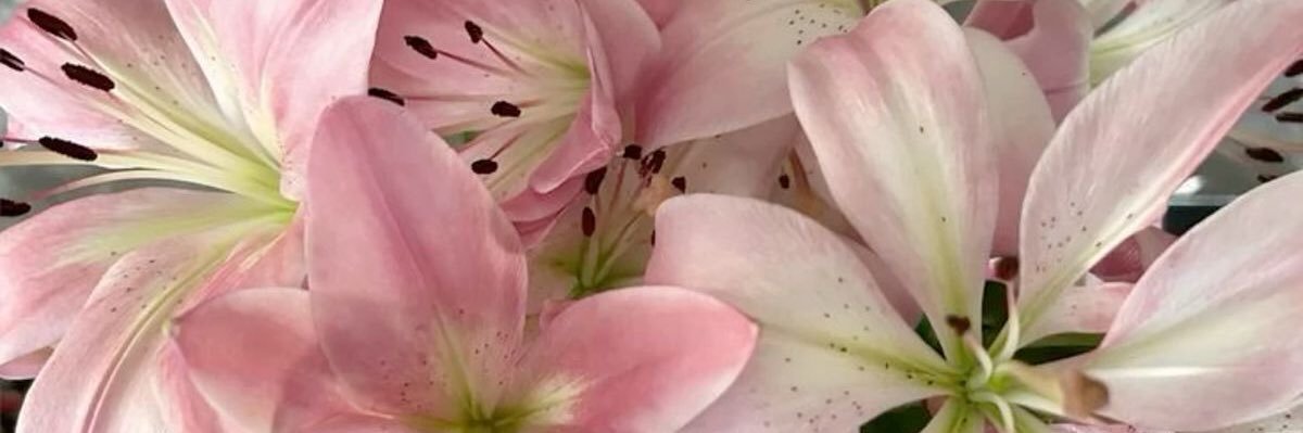 _kim___chi_'s profile banner image