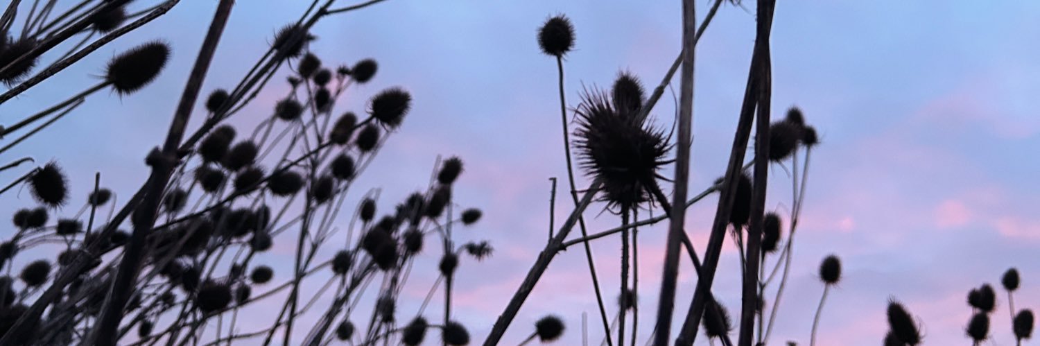MickeyCole's profile banner image