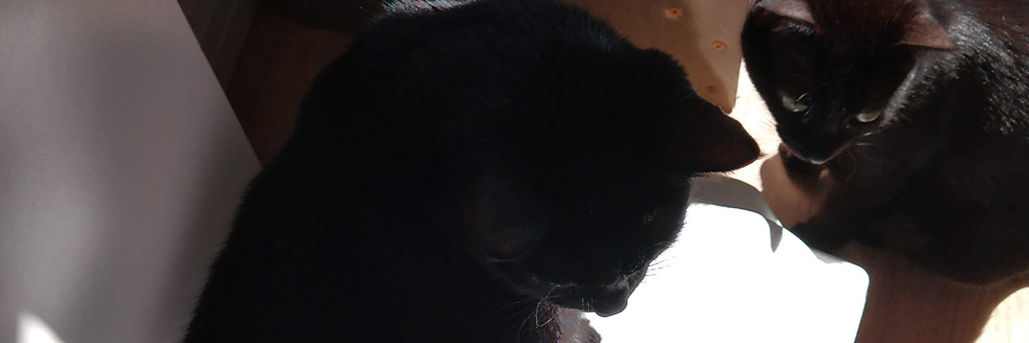 Debelle_lima's profile banner image