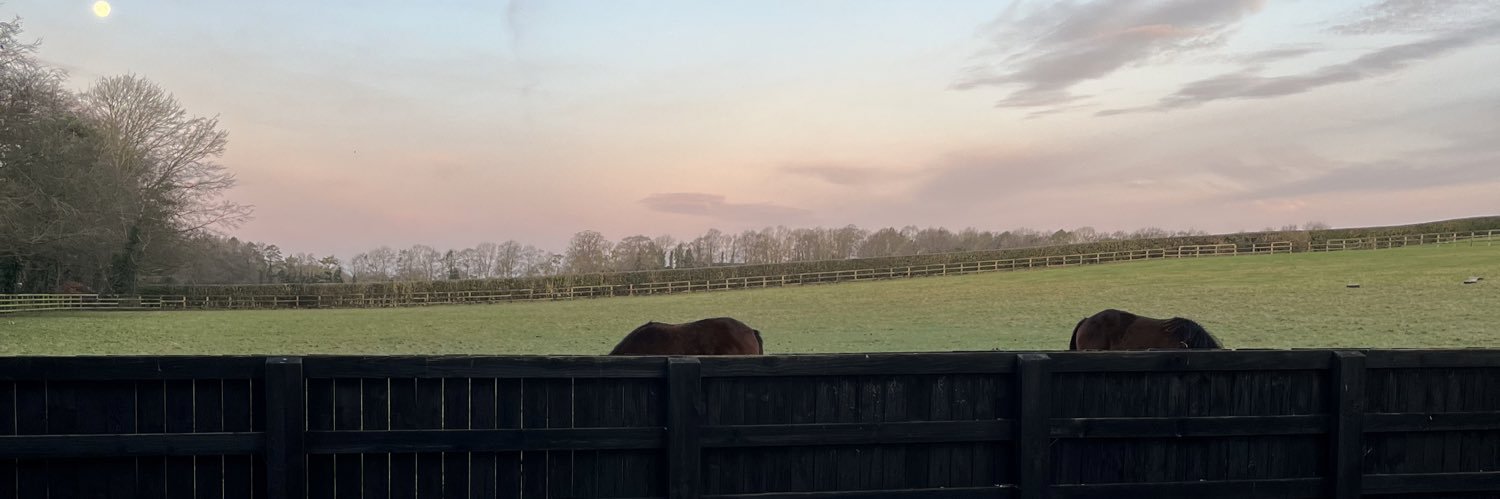 reesdyke's profile banner image