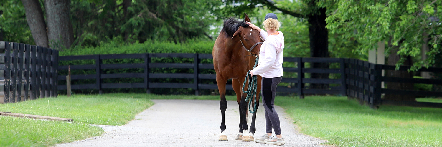 SecondStride's profile banner image