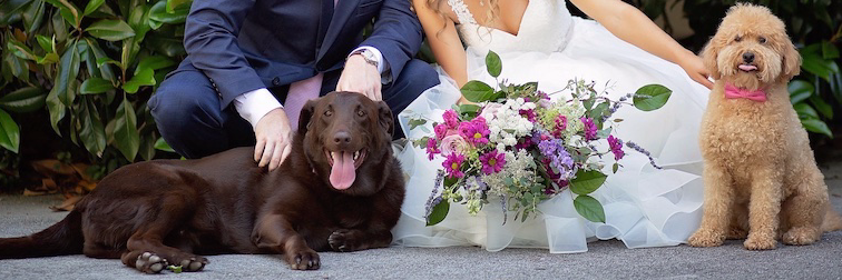 CarolLynnEvents's profile banner image