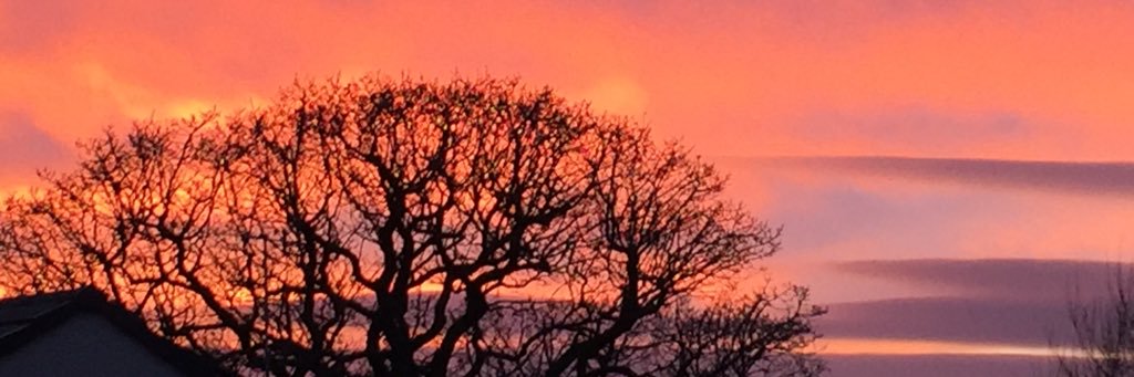 Jemma Johnstone banner