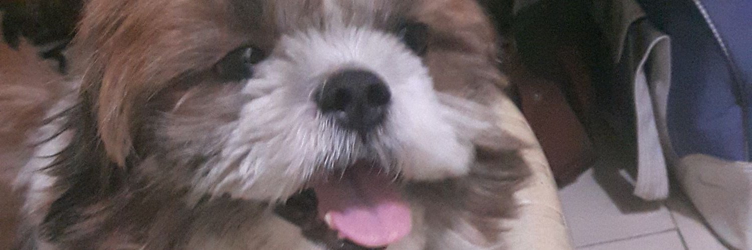 someonetrue's profile banner image