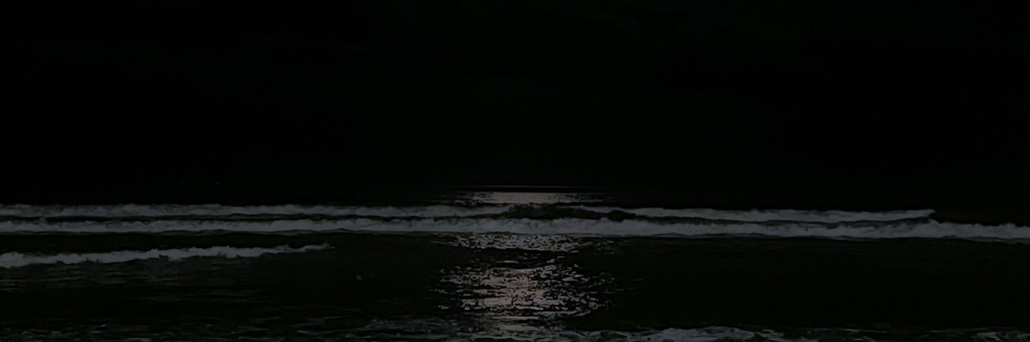 thatclumsyqueen's profile banner image