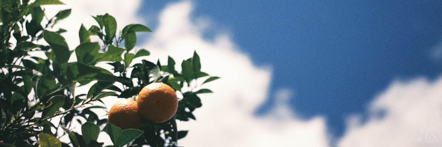 U5 K＊画集『Find Our 沼津』発売中🍊's banner