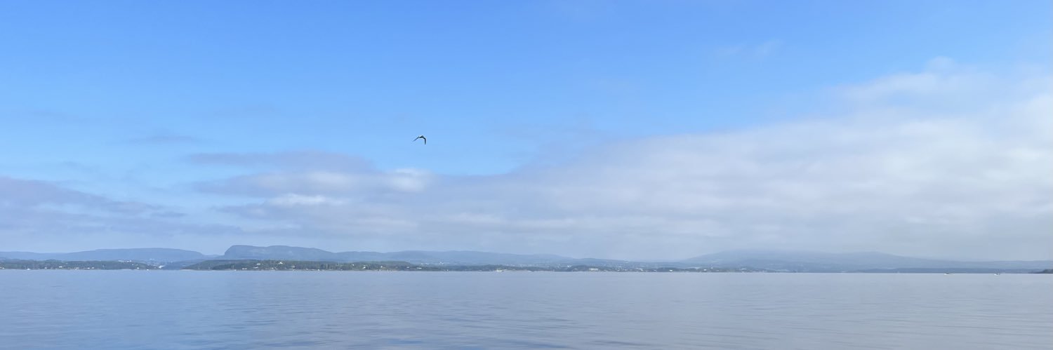 ulfhordvik's profile banner image