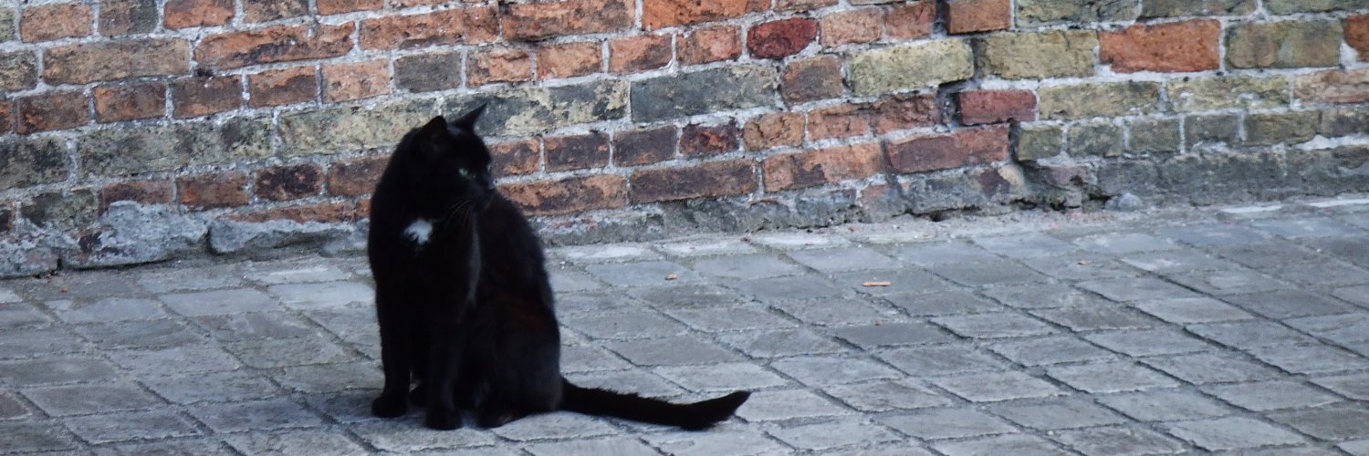 Shinichi Kawamura banner